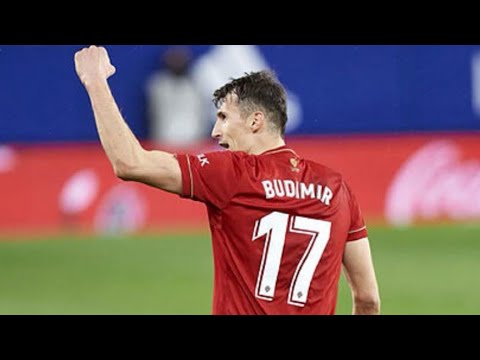 ANTE BUDIMIR || ALL 12 GOALS || 2020-21