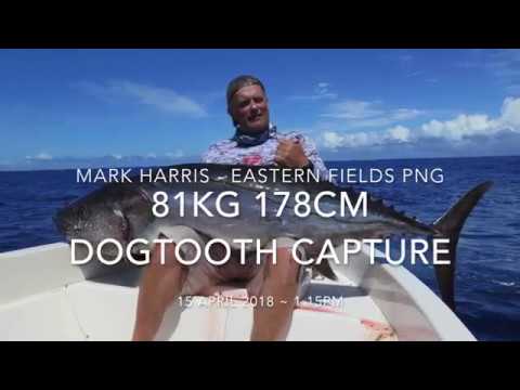 EPIC PNG Eastern Fields 81KG Dogtooth Tuna on Jig
