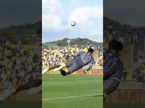 발 밑은 김승규, 머리는 송범근ㅋㅋㅋ