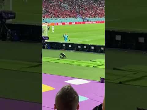 Milan Borjan jednim potezom ruke ućutkao Hrvate koji su ga vređali.