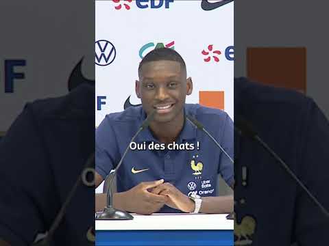 🏆🇫🇷🗨️ Randal Kolo Muani révèle qu'Ousmane Dembélé à peur... des chats ! 😹😹