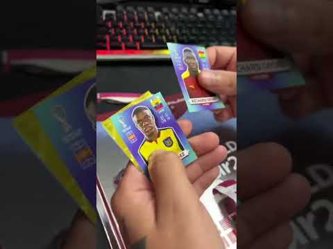 O dia em que a PANINI me mandou o Álbum ESPECIAL da Copa do Mundo!