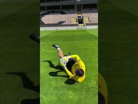 Goalkeeper diving drill with Alireza Beiranvand 💪🏼