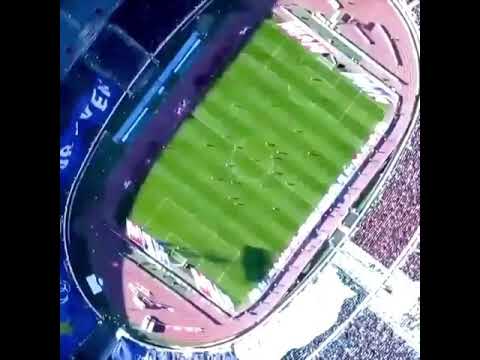 Mehdi Ghaedi  skills