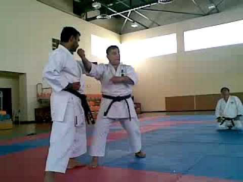 Sensei Alaa Eldin Elsaeid