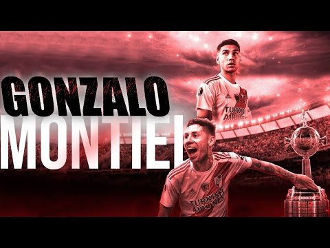 Lo MEJOR de GONZALO MONTIEL en RIVER  | GRACIAS CACHE! (2016-2021)