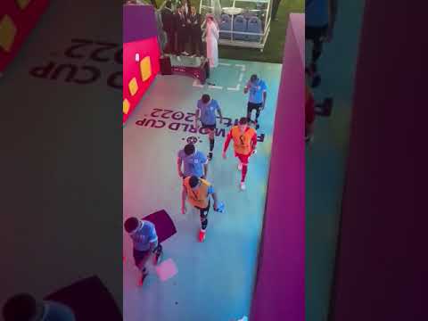 Edinson Cavani destroys VAR monitor