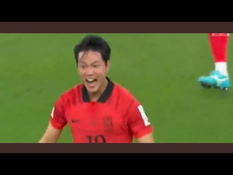 South Korea Fans Celebrate Kim Young-gwon Goal Vs Portugal (2nd December, 2022) #KimYoung-gwon 😍😍