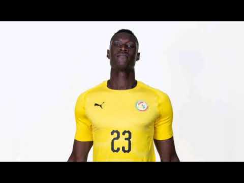 CAN 2019 : Alfred Gomis est impressionnant dans ses cages, La Main Ferme des lions du Sénégal