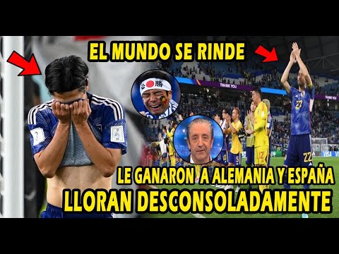 SE QUIEBRAN ASI REACCIONAN JUGADORES Y HINCHAS DERROTA JAPON VS CROACIA PRENSA REACCIONA