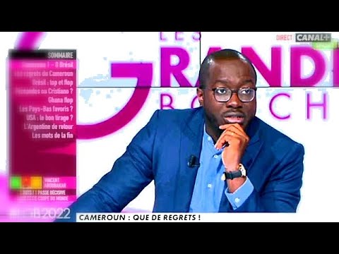 Cameroun: Vincent Aboubakar Que de Regrets....