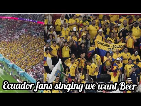 Ecuador fans chanting 'We want beer' QUEREMOS CERVEZA during their game against Qatar world cup