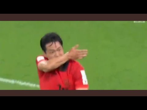 South Korea Fans Celebrate Kim Young-gwon Goal Vs Portugal (2nd December, 2022) #KimYoung-gwon 😍😍