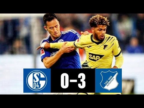 Schalke 04 vs Hoffenheim 3-0 | Robert Skov scores 2 goals | Bundesliga 2022/23 🇩🇪