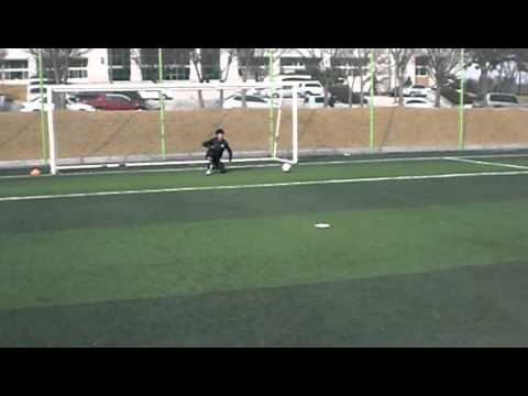 Carlão - Chute - GK Lee Seung Gyu