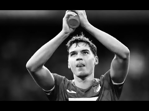 Robert Skov on his versatile role at TSG Hoffenheim