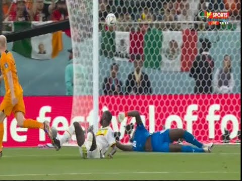 Le Sénégal battu pas les pays Bas 2-0 lors de leur entrée en lice au mondial Qatar 2022