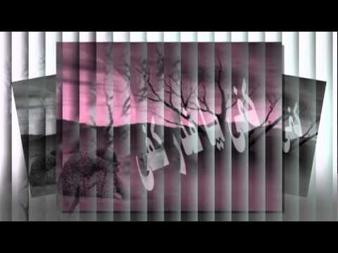 كفـــى يــــا قـــدر