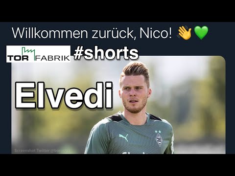 Borussia Mönchengladbach - Lars Stindl zurück, Nico Elvedi steigt ein #shorts