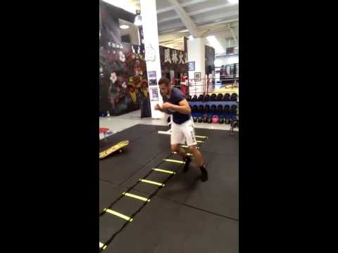 SAQ MMA with Martin Batur, Fors Fitness