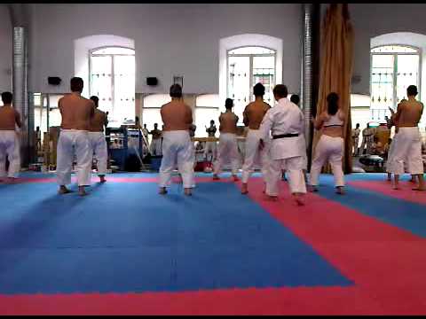 Maestro de Karate José Cifuentes kata sanchin uechi ryu petertamayo.3GP