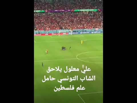 علي معلول يلاحق الشاب التونسي حامل علم فلسطين #shorts #على_معلول #تونس