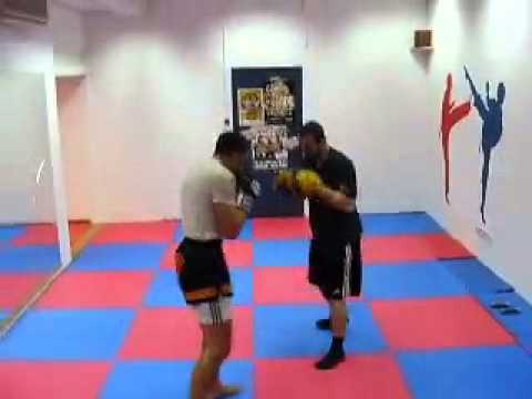 Srdan Spirk pads with Goran Babic Hambi