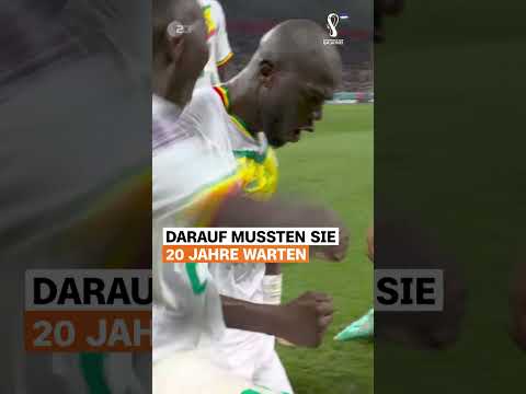 Senegalesische Party in Katar 🎉 | sportstudio | #shorts