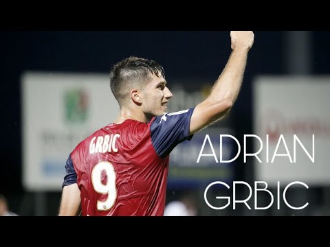 Adrian Grbic • All goals 2019-20 • Clermont Foot Adrian Grbic • All goals 2019-20 • Clermont Foot