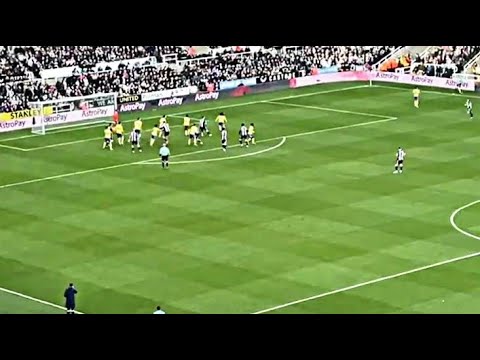 Fabian Schär Goal VS Brighton !! Newcastle United VS Brighton