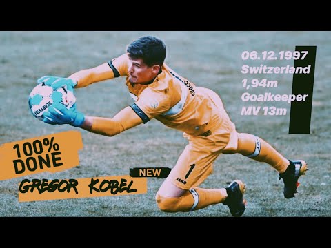 Gregor Kobel • Borussia Dortmund • Super Saves 🟡⚫️ ᴴᵈ