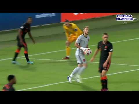 Brennan Johnson schreit nach Elfmeterchance, Niederlande-Wales, UEFA Nations League 2022