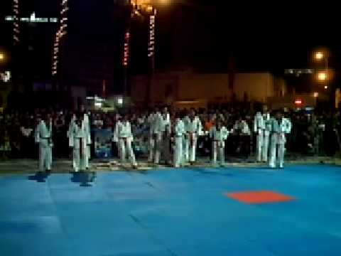 Taekwondo Maitre Son Min Kyu