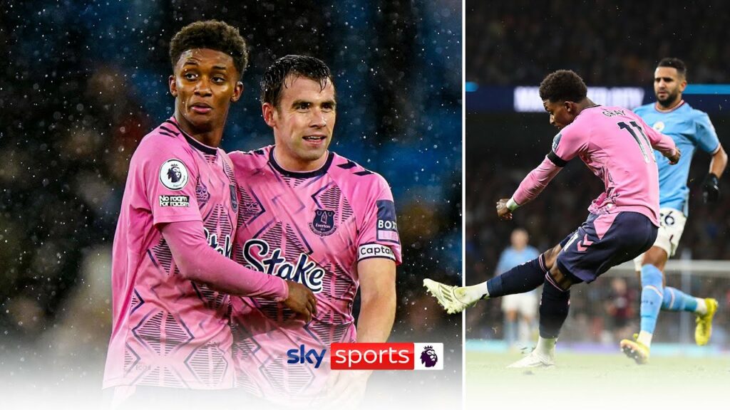 FROM ALL ANGLES! Demarai Gray's Goal of the Season contender! 😍