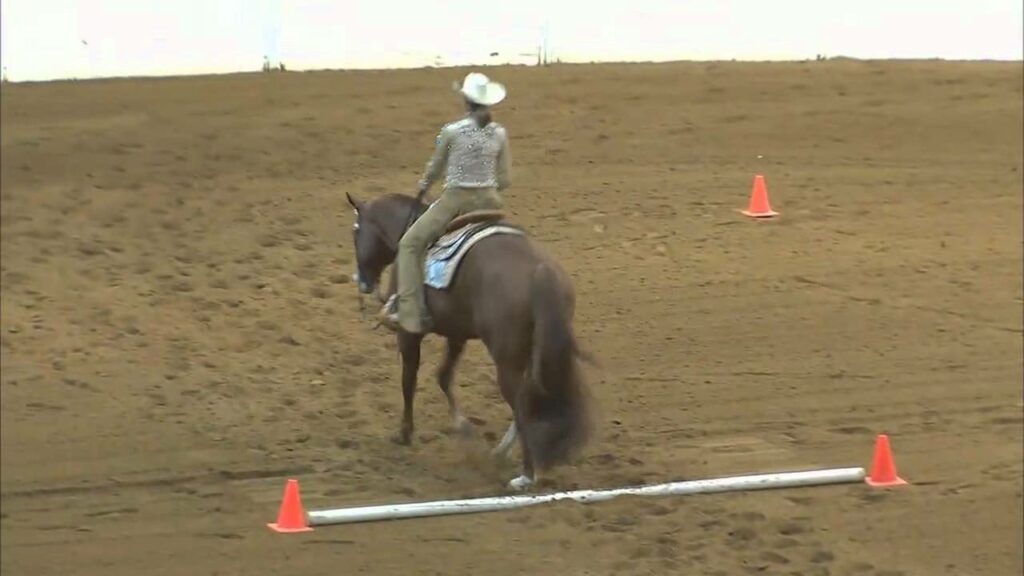 Susan Wilson and Knowtorius - 2011 Congress Select Western Riding