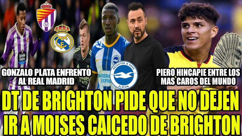 DT DE BRIGHTON PIDE QUE NO DEJEN IR A MOISES CAICEDO! PIERO HINCAPIE ENTRE LOS MAS CAROS DEL MUNDO