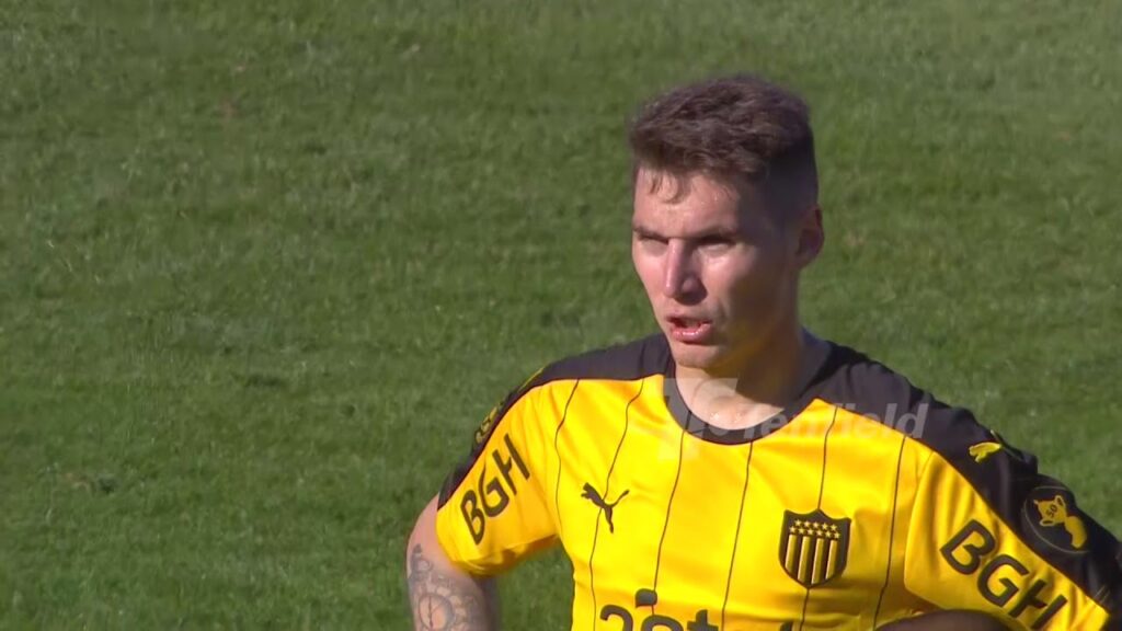 Informe Guillermo Varela