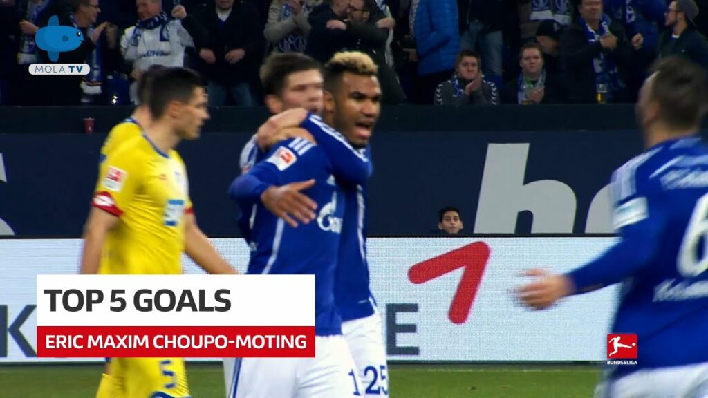 TOP 5 GOALS ERIC MAXIM CHOUPO-MOTING
