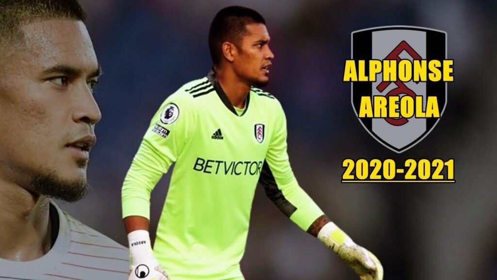 Alphonse Areola 2020/2021 ● Amazing Saves Show | HD