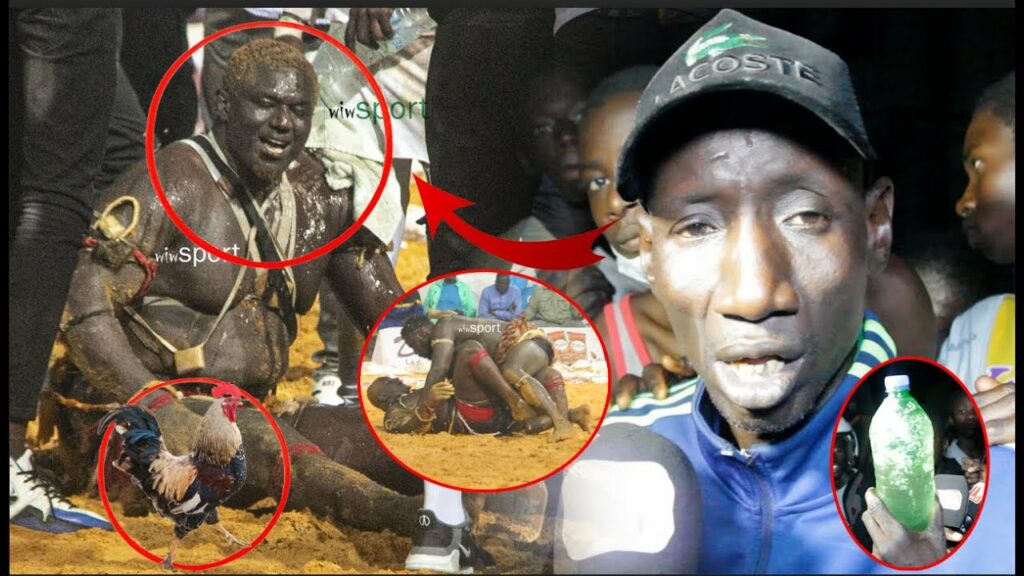 Urgents: les terribles révélations de pape sarr après la défaite de Balla Gaye 2 “borom kagoul bi..” Urgents: les terribles révélations de pape sarr après la défaite de Balla Gaye 2 "borom kagoul bi.."