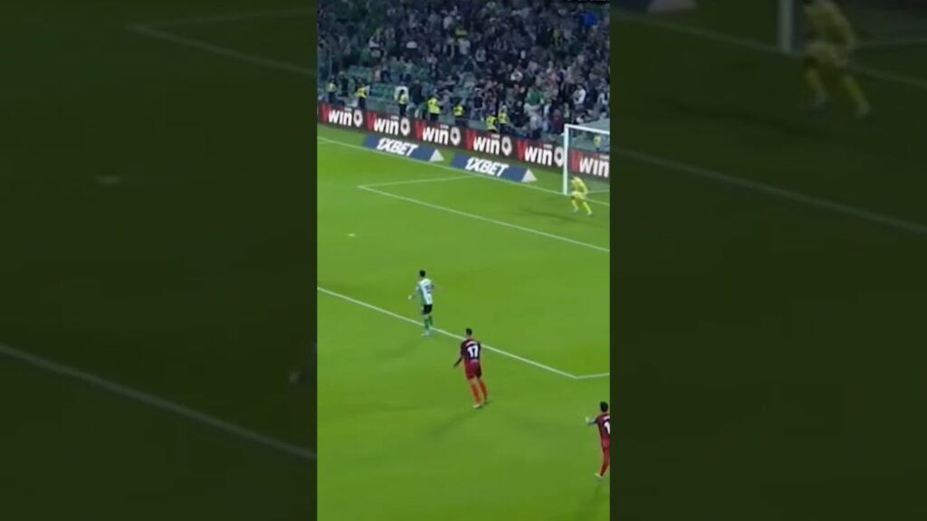 Nemanja Gudelj 🤯🎮