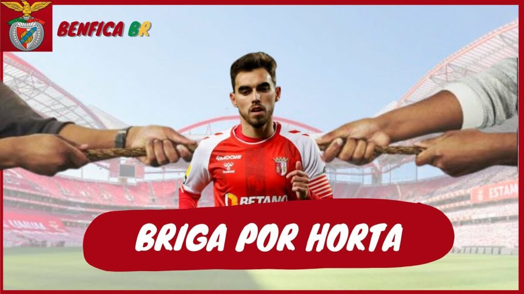 💪BRIGA POR RICARDO HORTA | ENZO FERNANDEZ CHEGOU ONTEM A LISBOA | NOTÍCIAS BENFICA