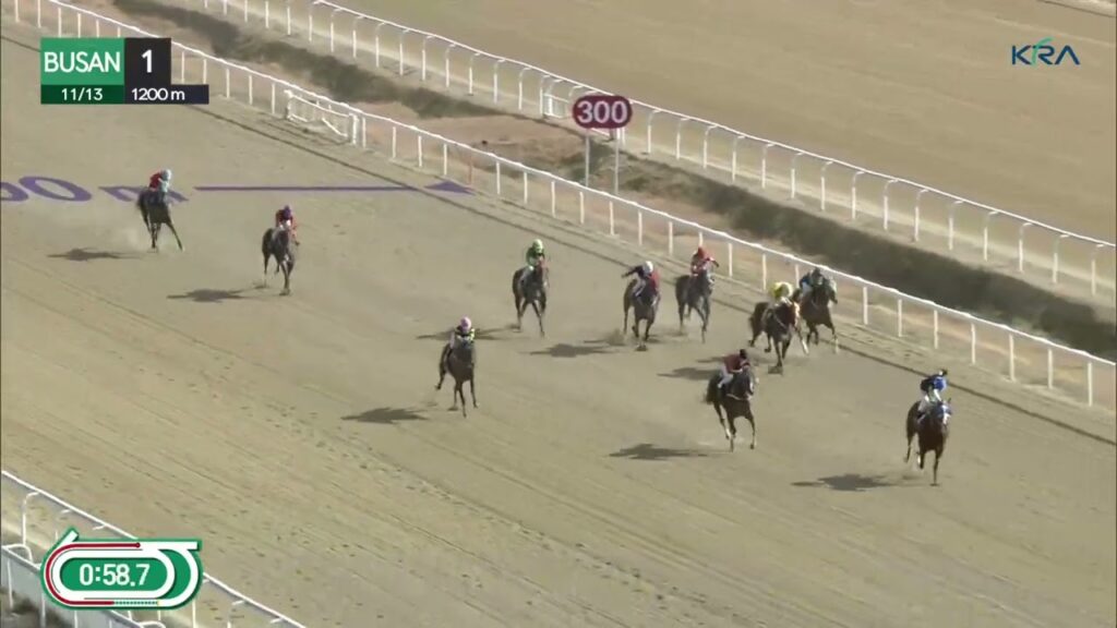 (Busan) 2022.11.13 R1 Final Seven by four