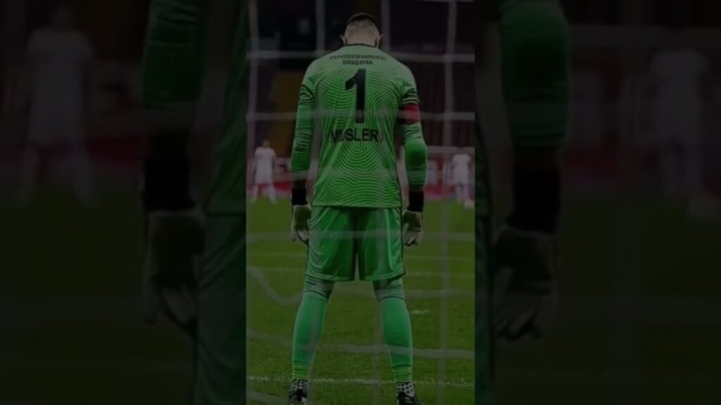 Fernando Muslera Edit #galatasaray #shorts