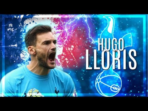 Hugo Lloris 2019 ● Best Goalkeeper Saves ● HD