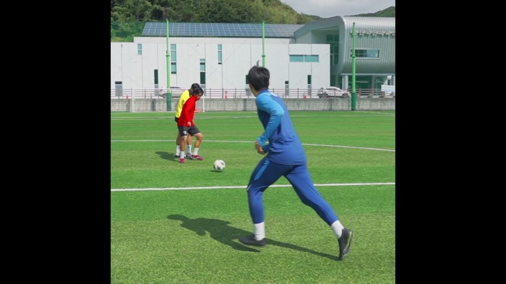 볼수록 신기한 패스 ㄷㄷ (황인범 시그니처)