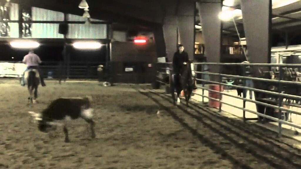 Wilson The Head Horse