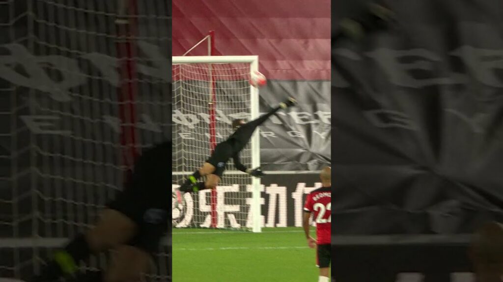 Brilliant Maty Ryan Save