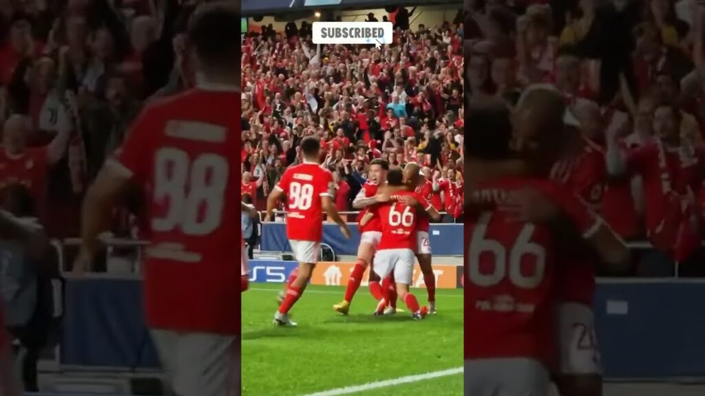 Adeptos vão à loucura GOLO⚽⚽ ANTÓNIO SILVA  🔥🔥 BENFICA ❤️VS JUVENTUS. Liga dos Campeões.
