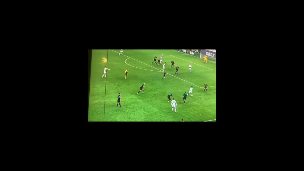 Anguissa fooling Vidal and Gagliardini